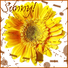 flower52 (100x100, 12Kb)