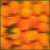  (100x100, 23Kb)