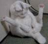  (98x91, 37Kb)