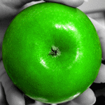  (150x150, 21Kb)
