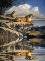  (149x200, 77Kb)