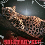  (150x150, 20Kb)