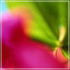 3 (100x100, 3Kb)