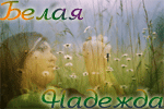  (150x100, 24Kb)