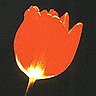  (96x96, 10Kb)