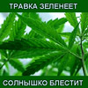  (100x100, 24Kb)