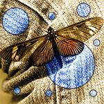  (150x150, 47Kb)