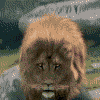  (100x100, 39Kb)