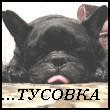  (110x110, 12Kb)