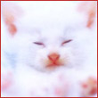  (110x110, 4Kb)