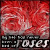  (100x100, 6Kb)