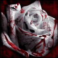  (120x120, 13Kb)
