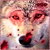 (100x100, 20Kb)