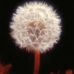  (150x150, 28Kb)