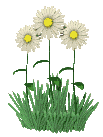  (103x137, 17Kb)