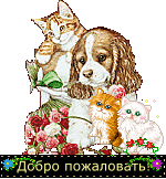  (150x162, 14Kb)