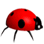  (89x89, 22Kb)