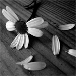  (150x150, 26Kb)