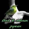  (120x120, 13Kb)