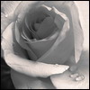  (100x100, 4Kb)