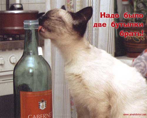 http://img0.liveinternet.ru/images/attach/b/1/6592/6592097_2butylki.jpg