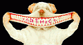  (120x65, 4Kb)