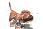  (89x61, 15Kb)