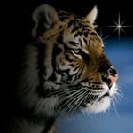  (150x150, 15Kb)