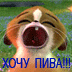  (72x72, 14Kb)