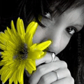  (120x120, 13Kb)