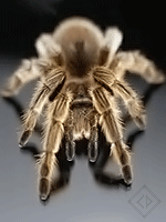  (150x200, 41Kb)