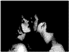  (100x75, 34Kb)