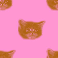  (200x200, 27Kb)
