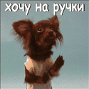  (128x128, 44Kb)