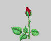  (176x220, 10Kb)