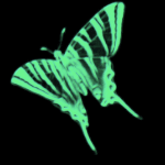  (150x150, 14Kb)