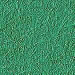  (150x150, 6Kb)