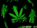  (128x96, 13Kb)