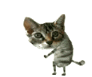  (130x110, 162Kb)