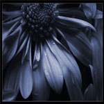  (150x150, 28Kb)