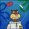  (100x100, 12Kb)