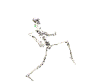  (160x120, 16Kb)