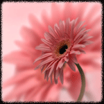  (150x150, 28Kb)
