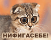  (101x80, 15Kb)