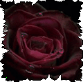  (120x119, 17Kb)