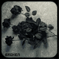 40 (120x120, 13Kb)