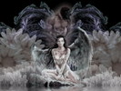 f_8113012_small (133x100, 5Kb)