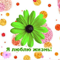- (120x120, 21Kb)
