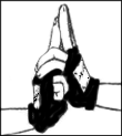  (110x123, 5Kb)