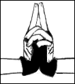  (110x123, 5Kb)